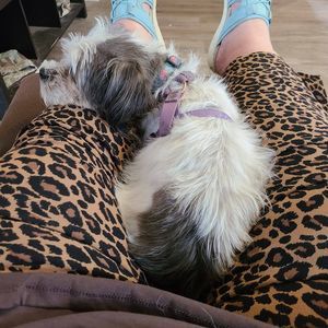 Meet your Posher, Karen